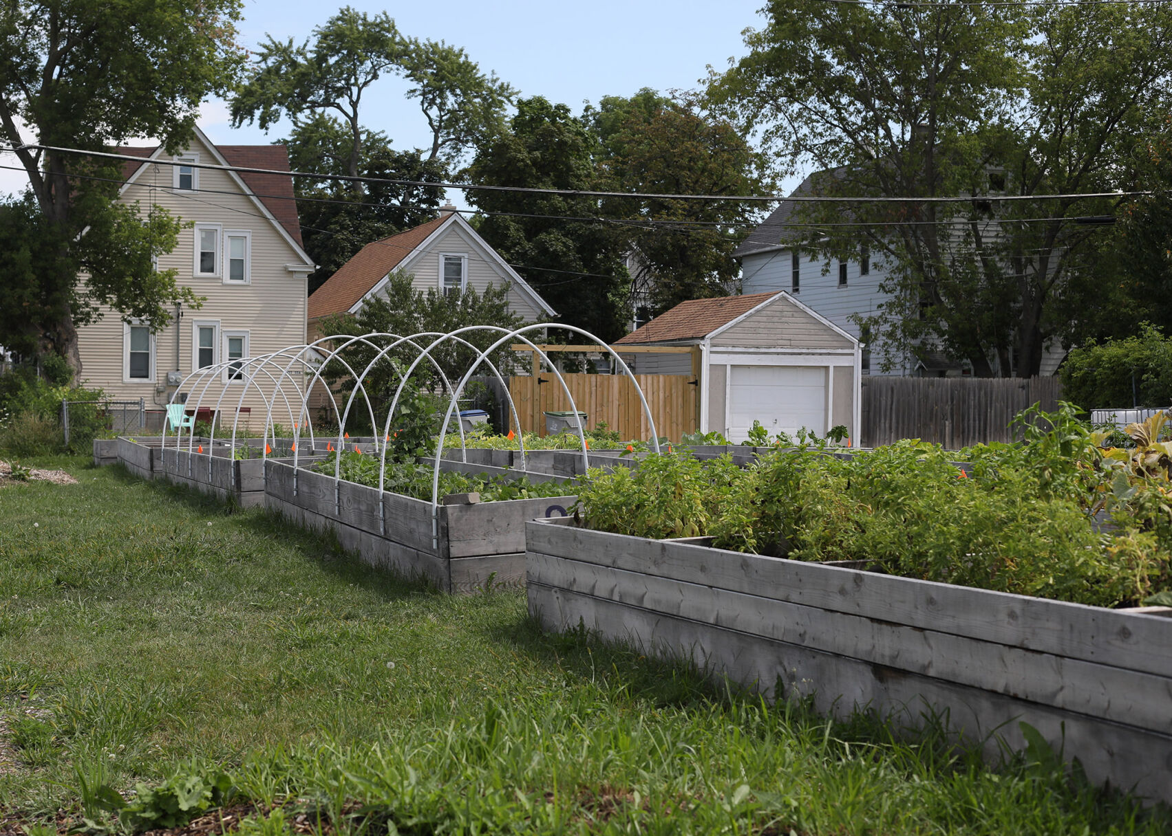 MacCanon Garden 5.jpg